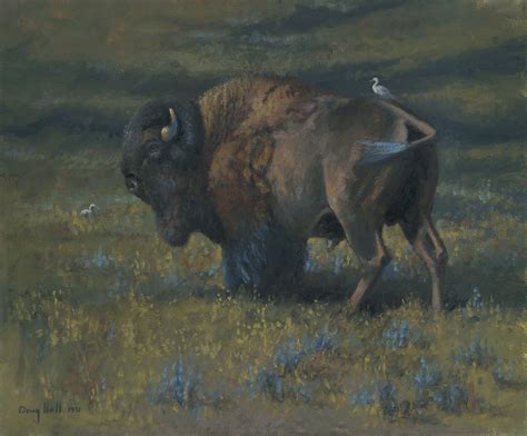 Buffalo – Indian Paintings | French & Indian War | Doug Hall | Artist