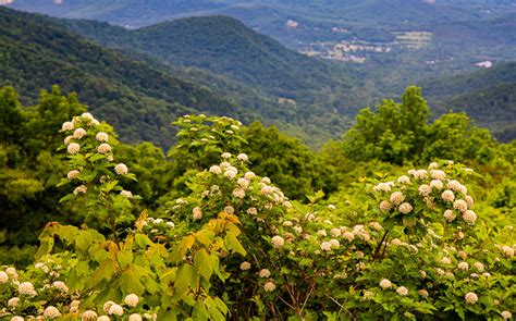 Highlights Of The Spectacular Skyline Drive In Virginia