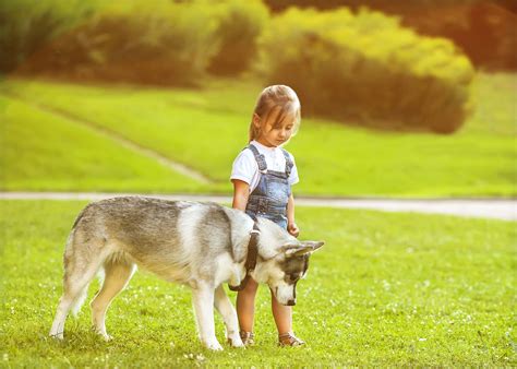 How to Teach Kids Safe Behavior around Dogs