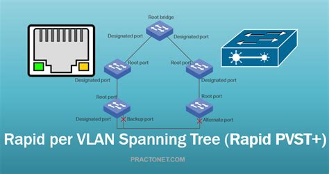 Rapid per VLAN Spanning Tree Protocol – Cyber Security, Networking, Technology Courses and Blog