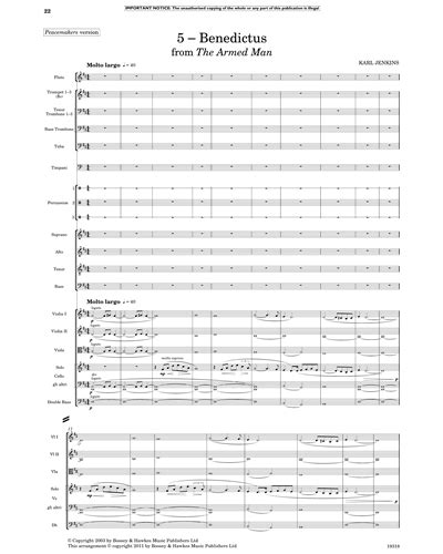 Benedictus (from “The Armed Man”) Sheet Music by Karl Jenkins | nkoda | Free 7 days trial