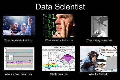 Data Scientist Meme