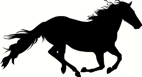 https://www.google.com/blank.html | Horse silhouette, Horses, Horse ...