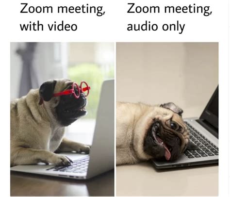 Zoom Memes | Meeting Memes | Memes