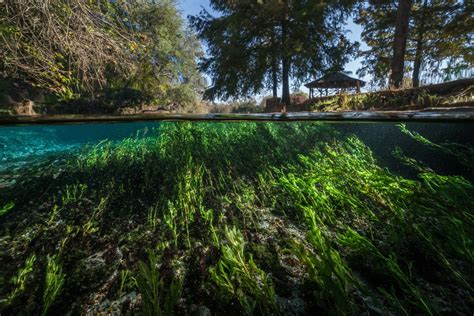 Environmental Monitor | Managing and Studying Texas's Edwards Aquifer