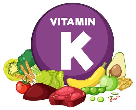 Premium Vector | Group of Food Fruits and Vegetables Containing Vitamin K