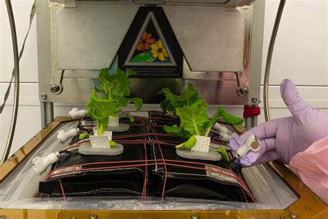 Inside NASA’s Space Farming Labs - Motherboard