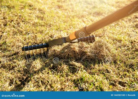 Garden Lawn Aeration with Scarifier Rake Stock Photo - Image of sunny ...