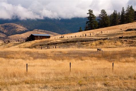 1,298 Plains Montana Stock Photos - Free & Royalty-Free Stock Photos ...