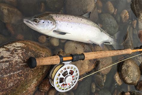 Struggling to Catch a Salmon? Try these Late Summer Salmon Tactics - Fulling Mill Blog