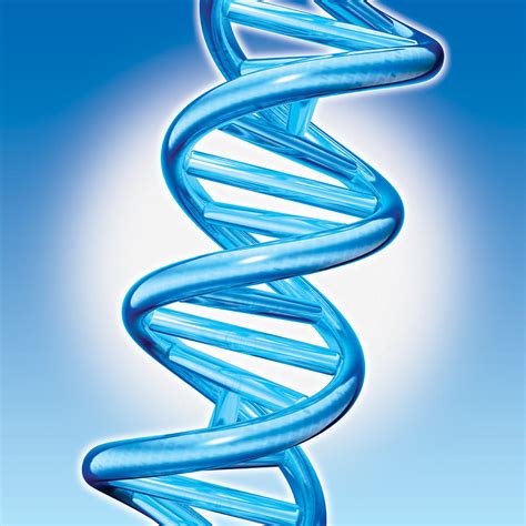 Dna Double Helix Digital Art - Dna Double Helix Fine Art Print