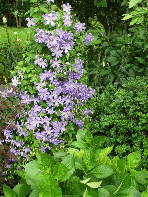 Gardening in Zone 4 in central Wisconsin.