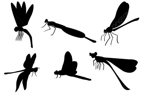 Silhouette Clipart Dragonfly Silhouette Dragonfly Tra - vrogue.co