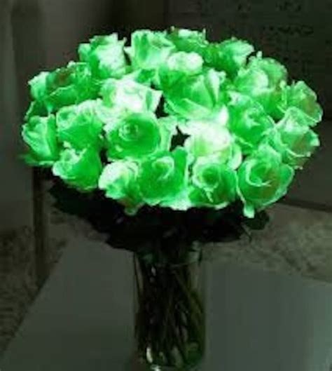 Glow in the Dark FLOWER Paint for Living and Artificial - Etsy