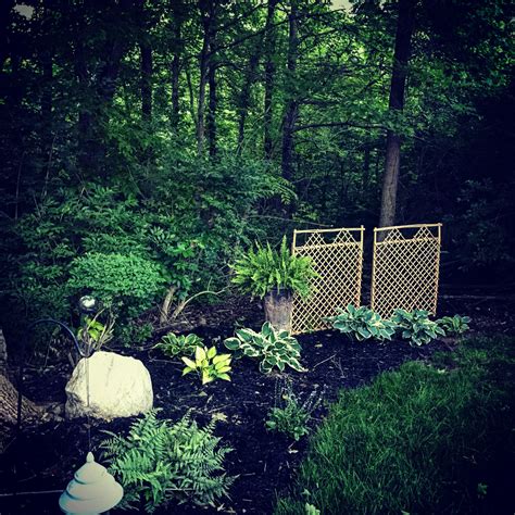 Hostas, ferns, my backyard 2017 | Backyard, Woodland garden, Outdoor decor