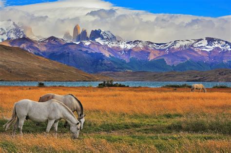 The astounding National Parks of Patagonia - Real Word