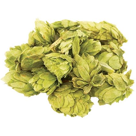 Citra Hops (2 oz.) (Whole Cone) | MoreBeer