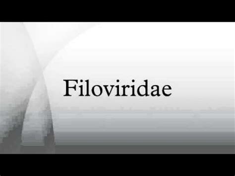 Filoviridae - YouTube