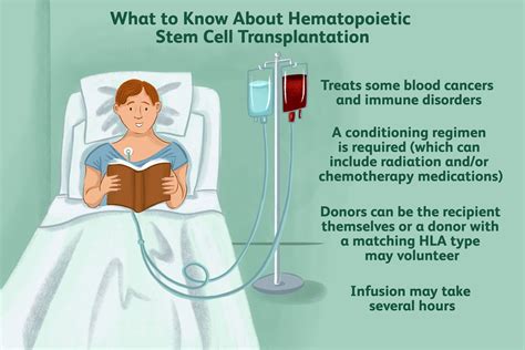 Hematopoietic Stem Cell Transplantation: Prep, Process, and More