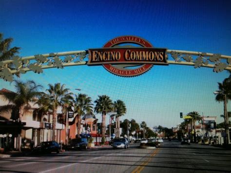 Encino Commons - Encino - Encino, CA | Encino, Ca history, Mri scan