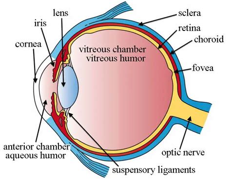 Simple eye diagram