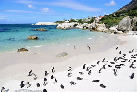 14 Best Beaches in Cape Town | PlanetWare