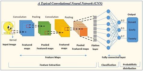 Convolution Neural Networks :Guide for your first CNN Project using ...