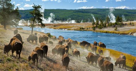 Yellowstone Photo Tour | Photo Expeditions