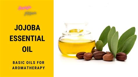 Jojoba Essential Oil - Basic Oils Aromatherapy | Biophytopharm