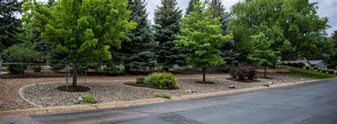 Xeriscaping Colorado Springs, Timberline Landscaping