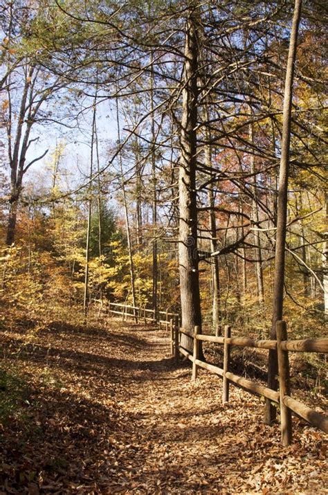 Autumn Hiking Trail in the Park Stock Photo - Image of fall, hiking ...