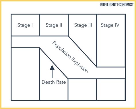 The Demographic Transition Model - Intelligent Economist