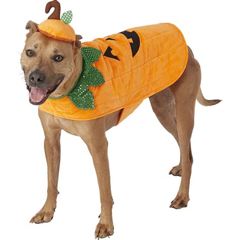 Xl Dog Costumes For Halloween - Communauté MCMS