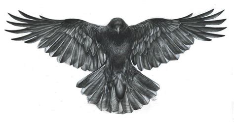 Pin di Анастасия Романова su crow | Idee per tatuaggi, Tatuaggio corvo ...