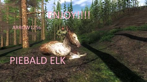 theHunter Piebald Elk - YouTube