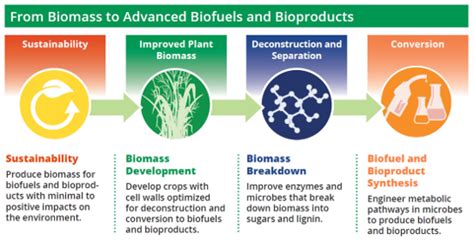 Biofuel Efficiency - Institute on the EnvironmentInstitute on the ...