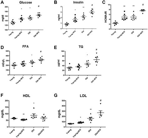 FoxO6-mediated ApoC3 upregulation promotes hepatic steatosis and ...