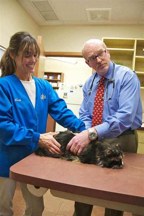 Sick Pet Care in Cincinnati OH | Grady Veterinary Hospital