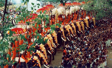 Thrissur Pooram Wallpapers - Wallpaper Cave