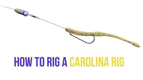 Carolina Rig And Fishing Bait Method For Bass Fish Catching Outline ...