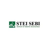 STEI SEBI | LinkedIn