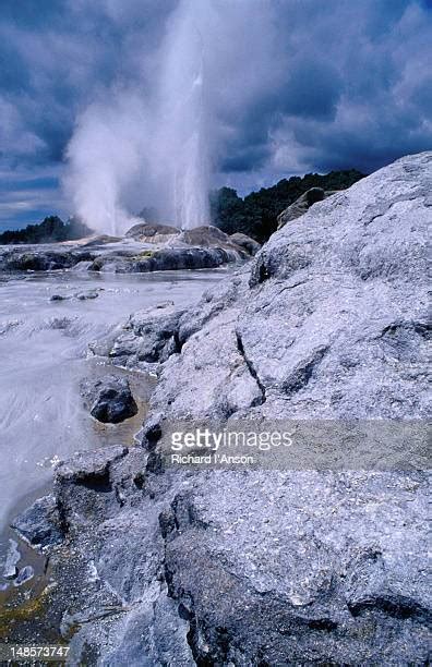 274 Whakarewarewa Geysers Rotorua Stock Photos, High-Res Pictures, and ...