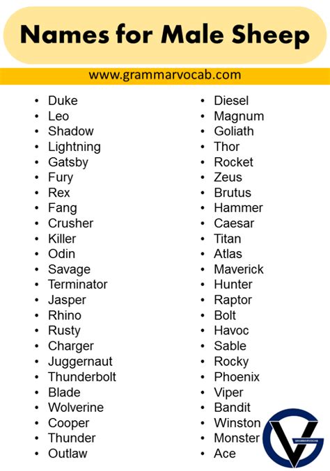 Good Names for a Sheep - Naming Ideas - GrammarVocab