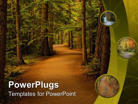 PowerPoint Template: peaceful trail in the forest nature background (23129)