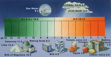 Acid Rain | The Canadian Encyclopedia