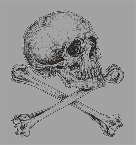 Skull and Crossbones Drawing Illustration 18822860 Vector Art at Vecteezy