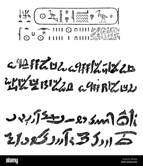 Ancient Egyptian Scripts Hieroglyphs Hieratic And Dem - vrogue.co