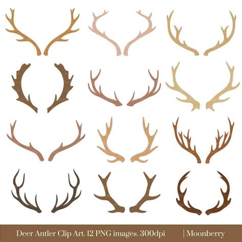 Antlers clipart reindeer ear, Antlers reindeer ear Transparent FREE for ...