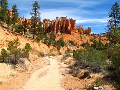 Squirrel's View: Mossy Cave trail at Bryce Canyon, May 2013