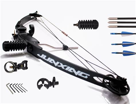 30-50lbs Black Compound Bow + Accessories Archery Hunting - COBRA Hunting